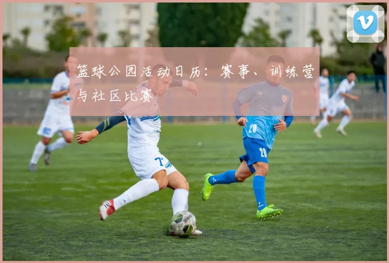 篮球公园活动日历：赛事、训练营与社区比赛